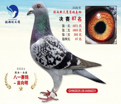 ��������ӥ����67��