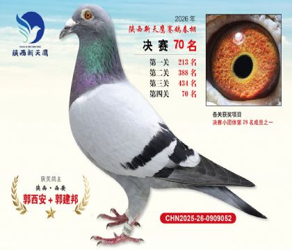 ��������ӥ����70��