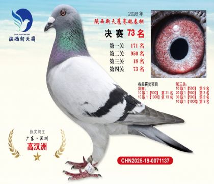 ��������ӥ����73��