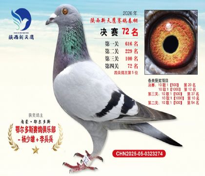 ��������ӥ����72�����Ĺظ���5����