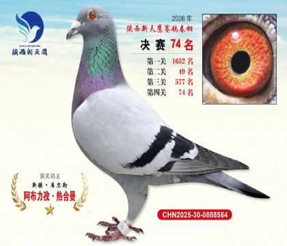 ��������ӥ����74��