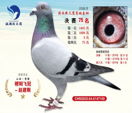��������ӥ����75��