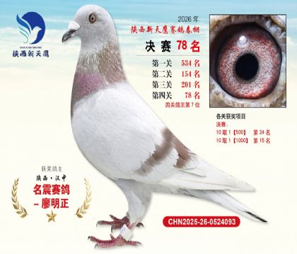 ��������ӥ����78�����Ĺظ���7����
