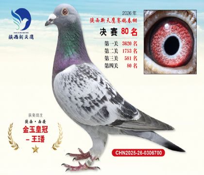 ��������ӥ����80��