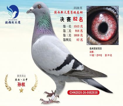 ��������ӥ����82��