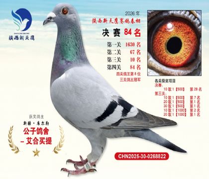 ��������ӥ����84�����Ĺظ���8����