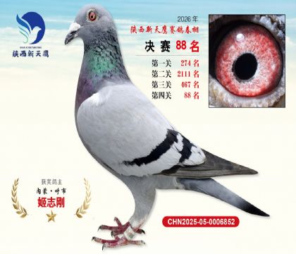 ��������ӥ����88��