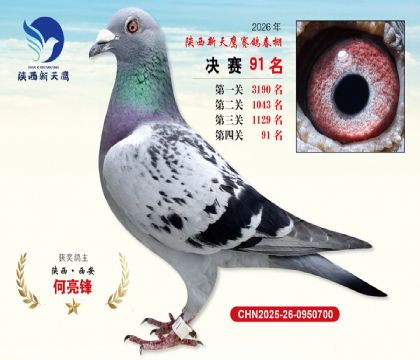 ��������ӥ����91��