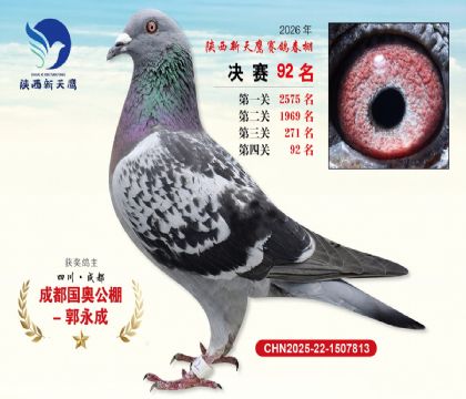 ��������ӥ����92��