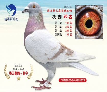 ��������ӥ����95��