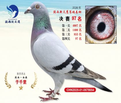 ��������ӥ����97��