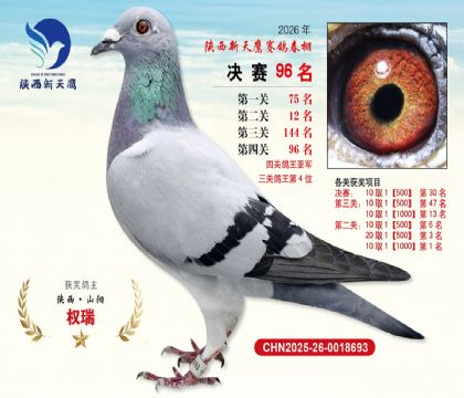 ��������ӥ����96�����Ĺظ����Ǿ���
