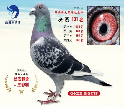 ��������ӥ����101��