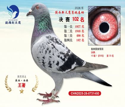 ��������ӥ����102��