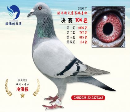 ��������ӥ����104��
