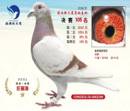 ��������ӥ����105��