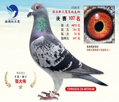 ��������ӥ����107��