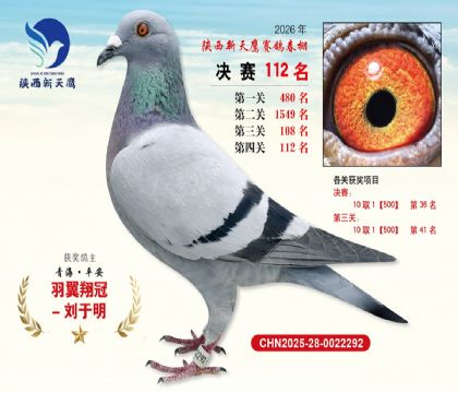 ��������ӥ����112��