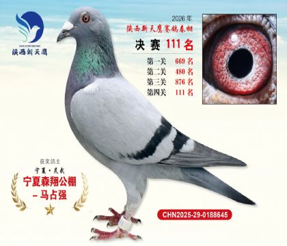 ��������ӥ����111��