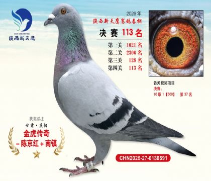 ��������ӥ����113��