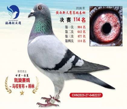 ��������ӥ����114��