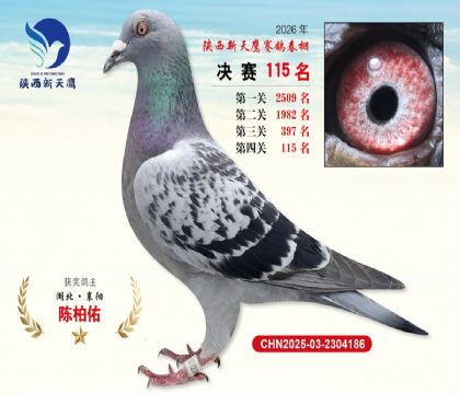 ��������ӥ����115��