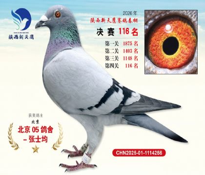 ��������ӥ����116��