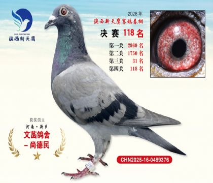 ��������ӥ����118��