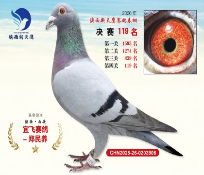 ��������ӥ����119��