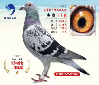 ��������ӥ����117��