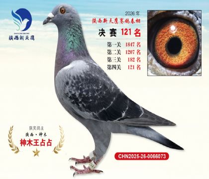 ��������ӥ����121��