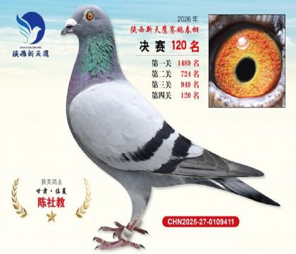 ��������ӥ����120��