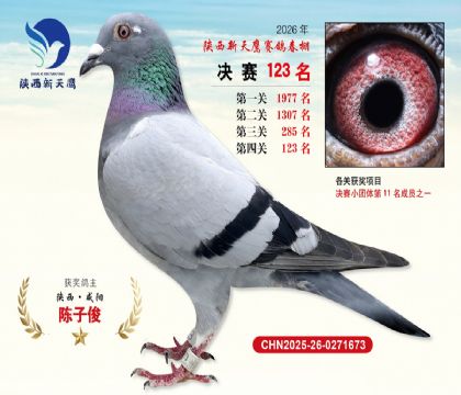 ��������ӥ����123��