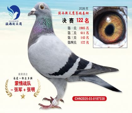 ��������ӥ����122��