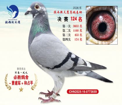 ��������ӥ����124��