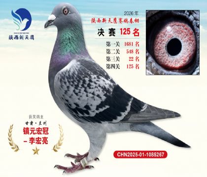 ��������ӥ����125��