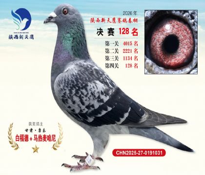 ��������ӥ����128��