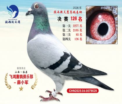 ��������ӥ����126��