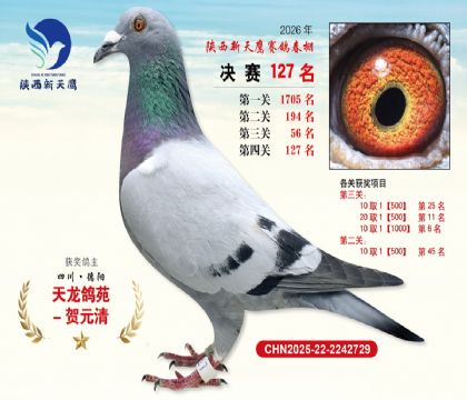 ��������ӥ����127��
