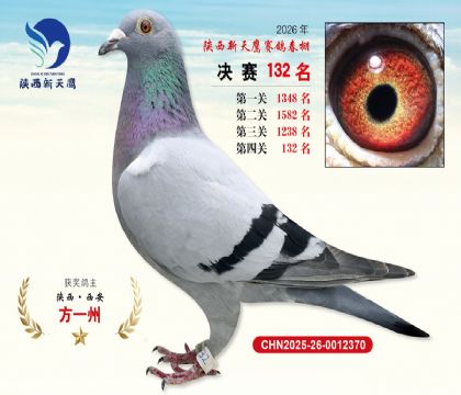 ��������ӥ����132��