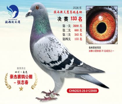 ��������ӥ����133��