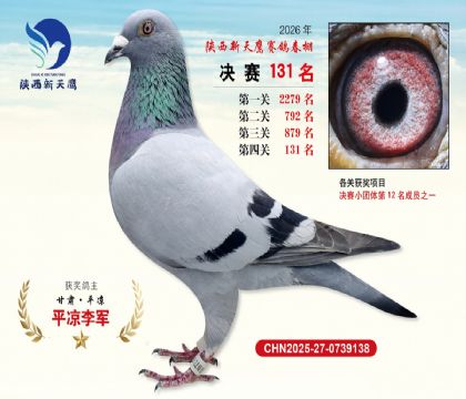 ��������ӥ����131��