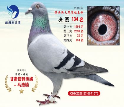 ��������ӥ����134��