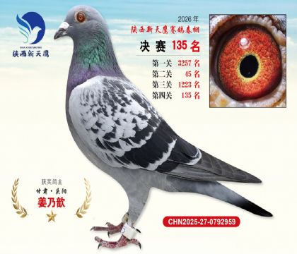 ��������ӥ����135��