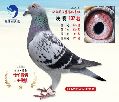 ��������ӥ����137��