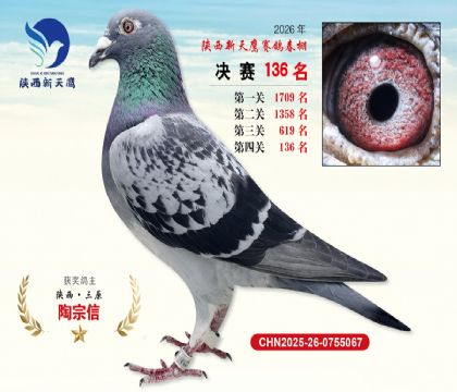 ��������ӥ����136��
