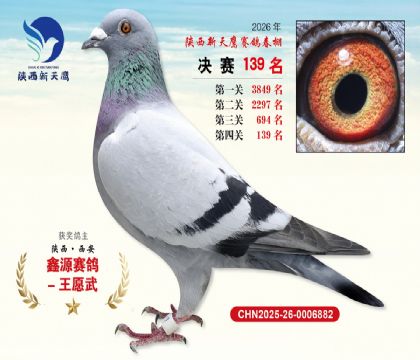 ��������ӥ����139��