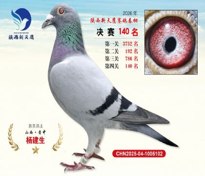 ��������ӥ����140��