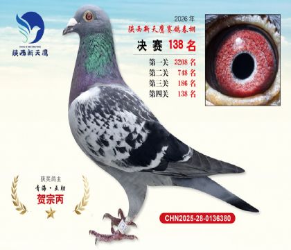 ��������ӥ����138��