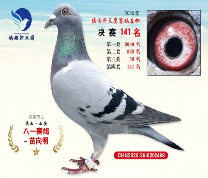 ��������ӥ����141��
